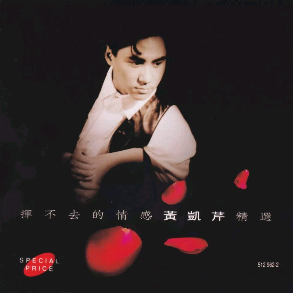 挥不去的情感 黄凯芹精选专辑